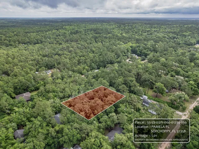 $42,000 | Xx Pamela Place, Sopchoppy, FL 32358