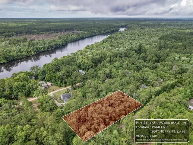 $42,000 | Xx Pamela Place, Sopchoppy, FL 32358