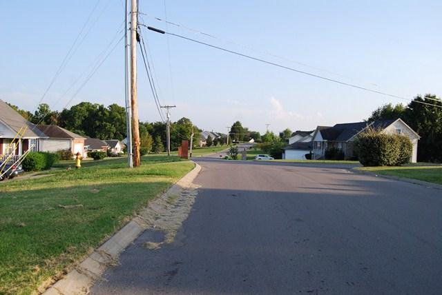 544 Windy Road Mount Juliet, TN 37122 - Photo 2 of 20 a view of a city street with tall buildings
