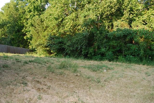544 Windy Road Mount Juliet, TN 37122 - Photo 18 of 20 a view of outdoor space and yard