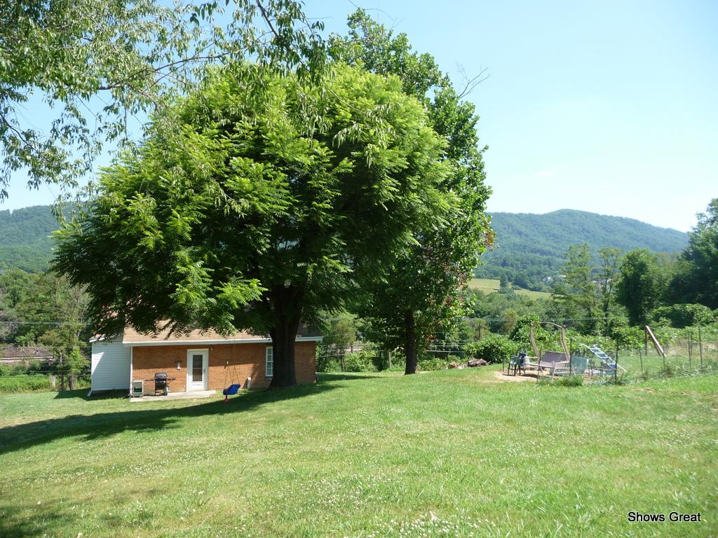 1533 Webster Road Roanoke, VA 24012 - Photo 10 of 10 a view of a tiny house with a yard
