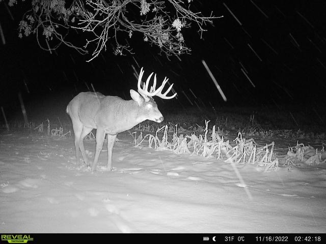 Xx Xx Simons Road Mondovi, WI 54755 - Photo 2 of 45
