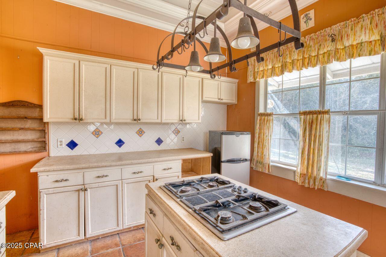 5021 Basswood Road Bascom, FL 32423 - Photo 4 of 51