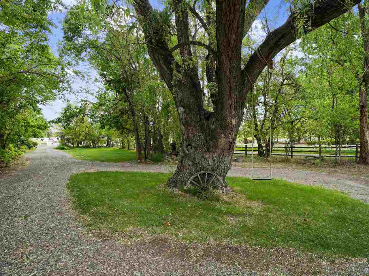662 26 Road Grand Junction, CO 81506 - Photo 41 of 42 a view of a yard with a tree