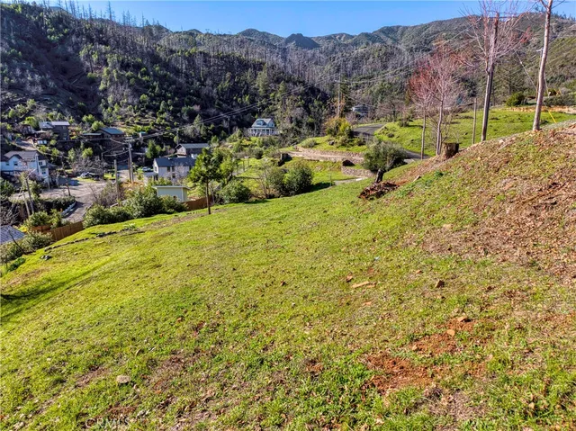 a view of a yard with a tree