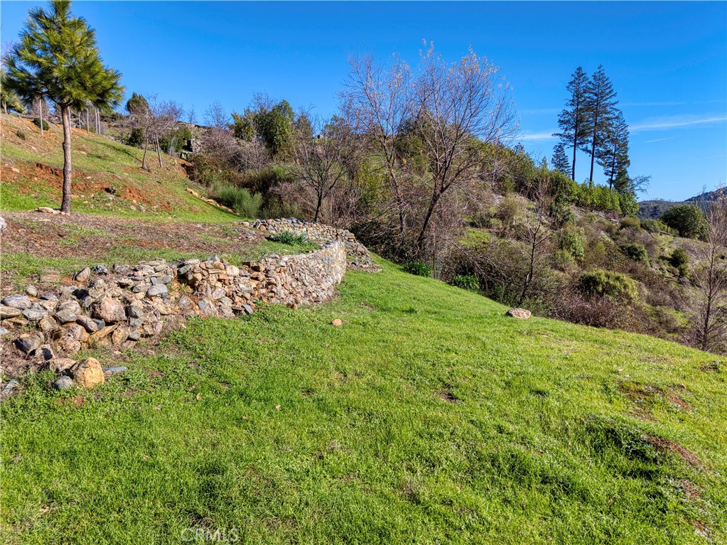 11180 Rose Anderson Road Middletown, CA 95461 - Photo 12 of 32 a view of a yard with a tree
