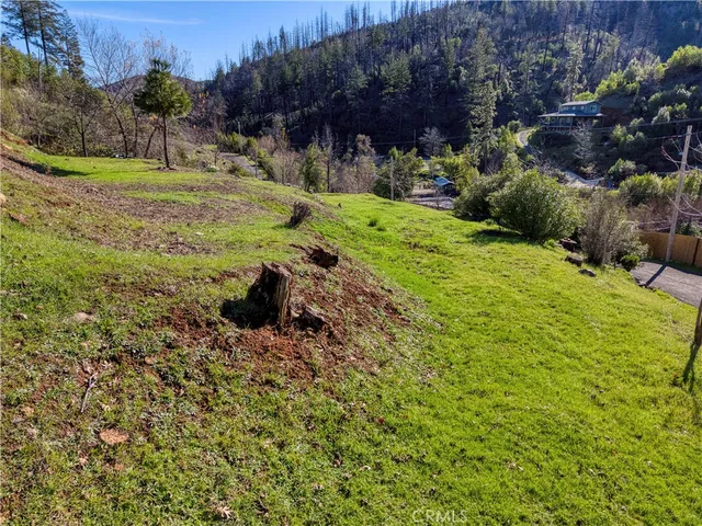 a view of plant in a field