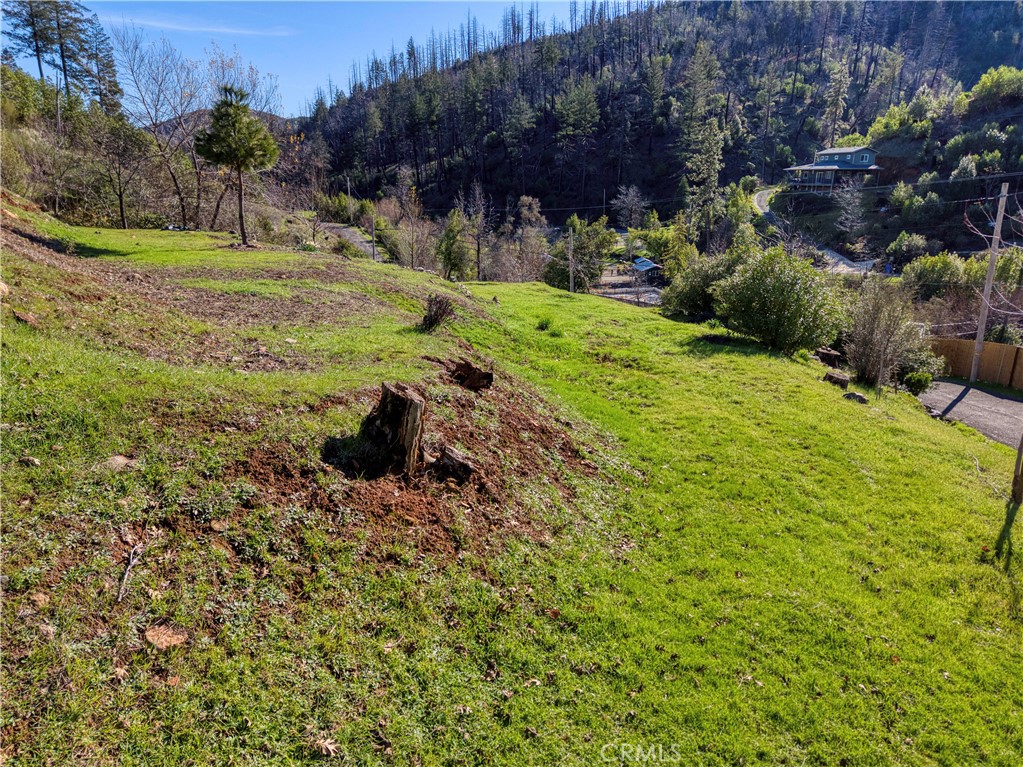 11180 Rose Anderson Road Middletown, CA 95461 - Photo 13 of 32 a view of a garden with an outdoor space