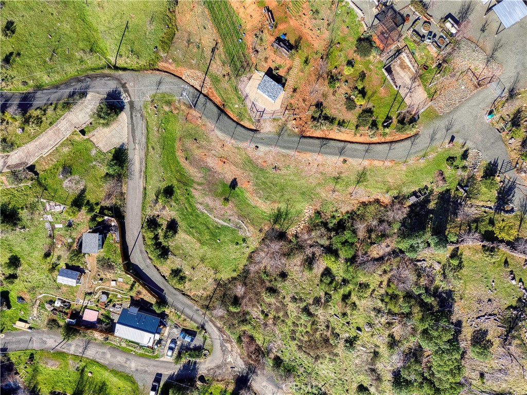 11180 Rose Anderson Road Middletown, CA 95461 - Photo 14 of 32 a view of plant in a field