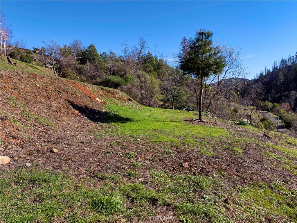11180 Rose Anderson Road Middletown, CA 95461 - Photo 15 of 32 a view of a field with trees in the background