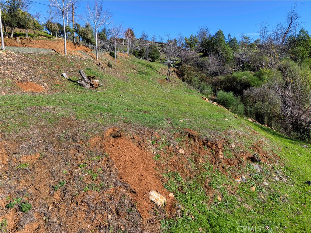 11180 Rose Anderson Road Middletown, CA 95461 - Photo 18 of 32 a view of a road with a yard