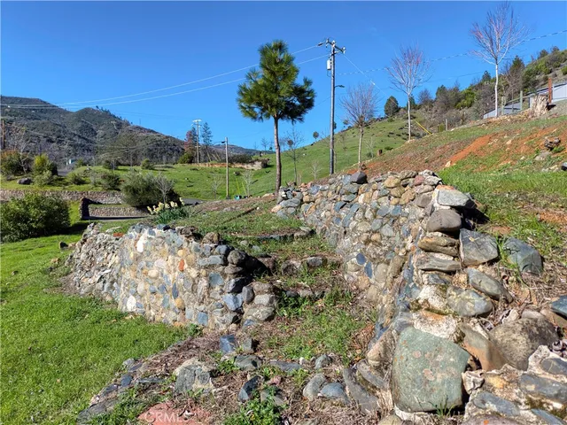 a view of a yard with a tree
