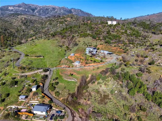 a view of a garden with a tree