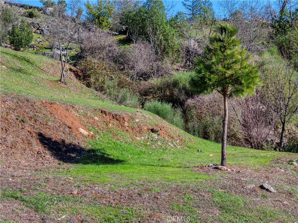 11180 Rose Anderson Road Middletown, CA 95461 - Photo 28 of 32 a view of a park with a tree