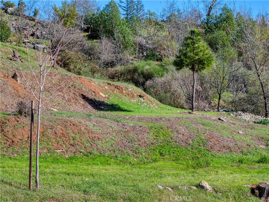 11180 Rose Anderson Road Middletown, CA 95461 - Photo 29 of 32 a view of a garden with a tree