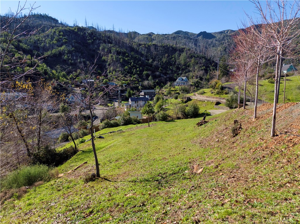 11180 Rose Anderson Road Middletown, CA 95461 - Photo 3 of 32 a view of a garden with a barn