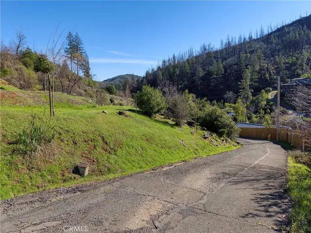 a view of a field with an tree