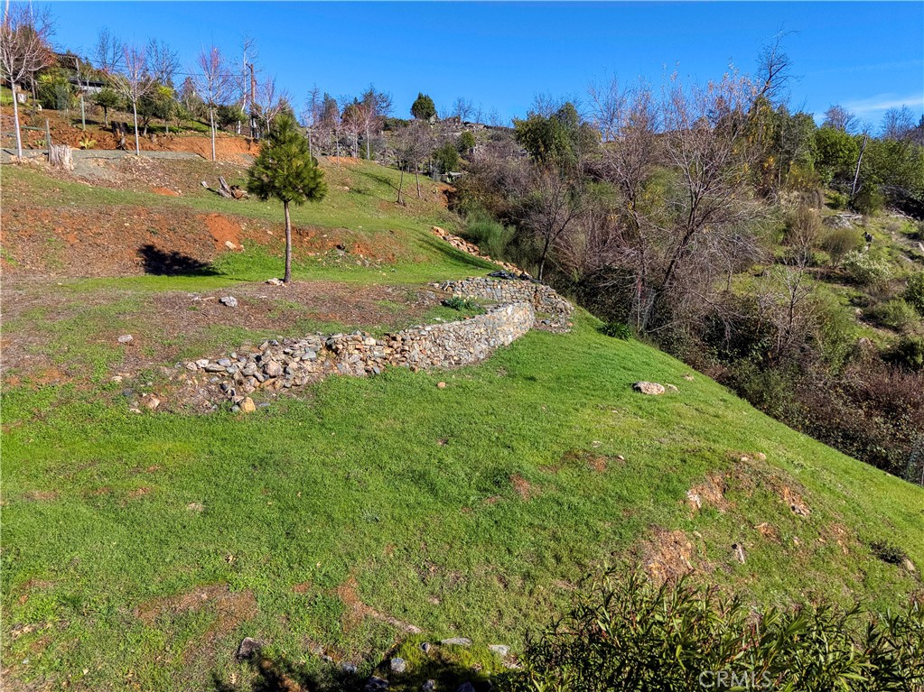11180 Rose Anderson Road Middletown, CA 95461 - Photo 10 of 32 a view of a field with an tree