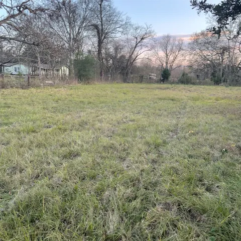 a view of a big yard with trees