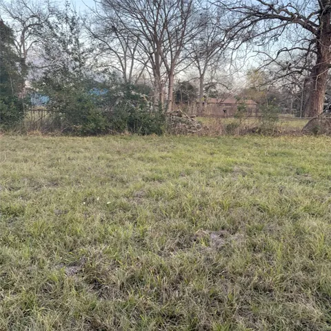 a view of a field with large trees