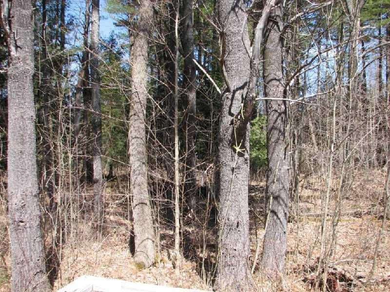 159 Bartlett Road Sidney, ME 04330 - Photo 9 of 10 View. Rear view