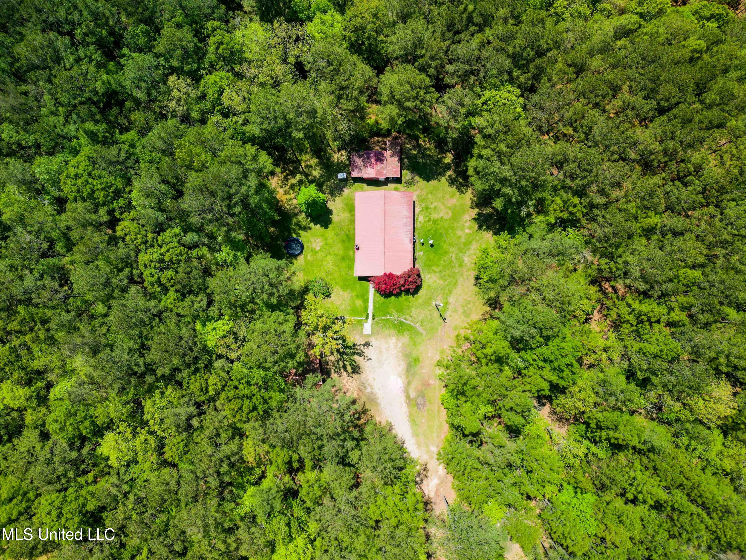 2947 Bee Tree Road Richton, MS 39476 - Photo 25 of 27 2947_BeeTreeRdRichtonMS-25