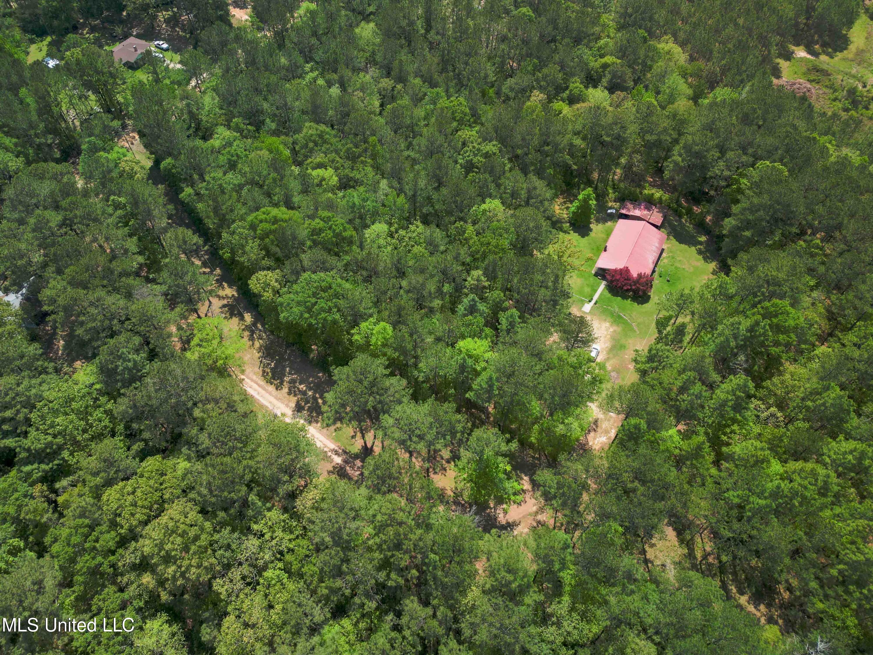 2947 Bee Tree Road Richton, MS 39476 - Photo 26 of 27 2947_BeeTreeRdRichtonMS-26