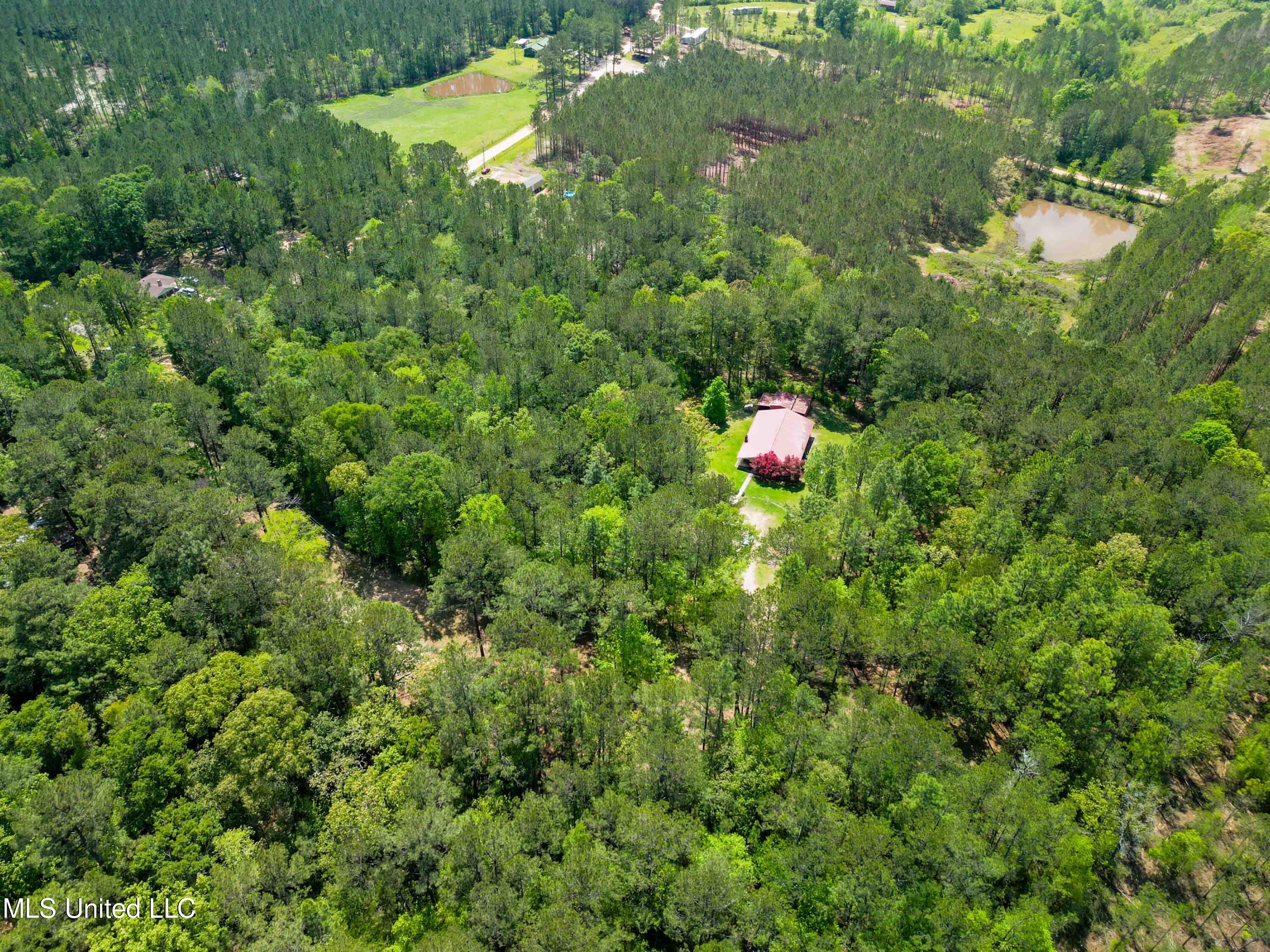 2947 Bee Tree Road Richton, MS 39476 - Photo 27 of 27 2947_BeeTreeRdRichtonMS-27