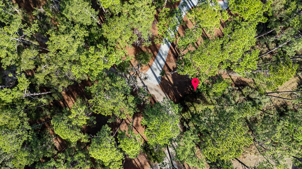 0 Oak Bluff Road Southeast Darien, GA 31305 - Photo 15 of 29