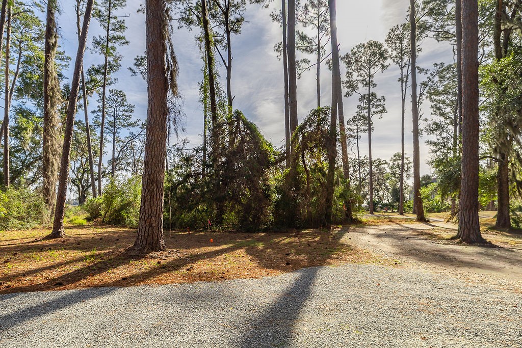 0 Oak Bluff Road Southeast Darien, GA 31305 - Photo 18 of 29