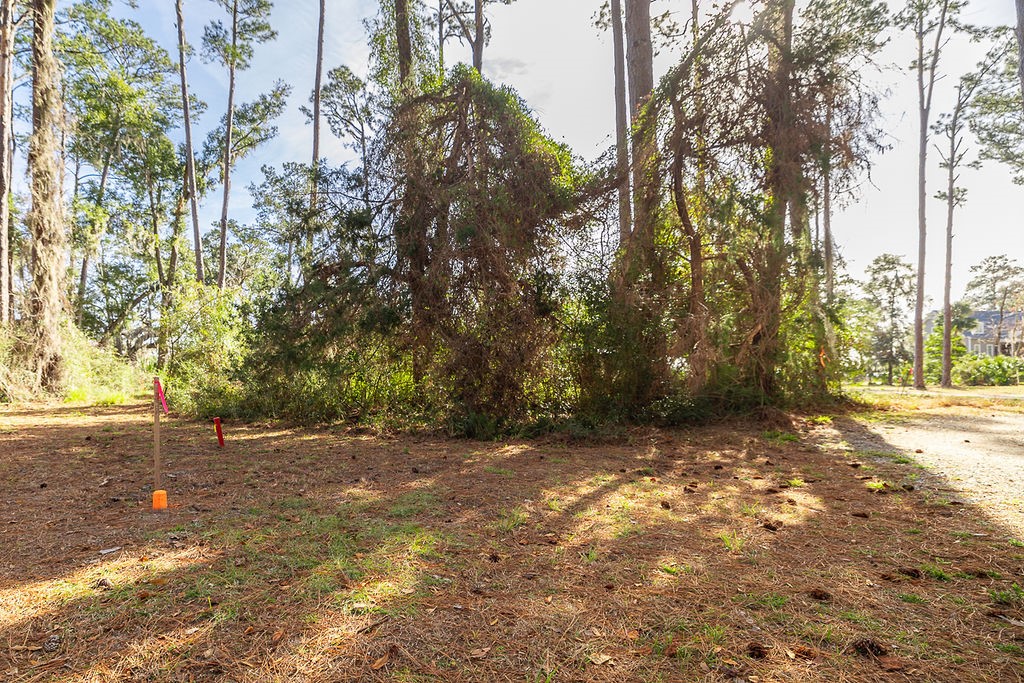 0 Oak Bluff Road Southeast Darien, GA 31305 - Photo 19 of 29