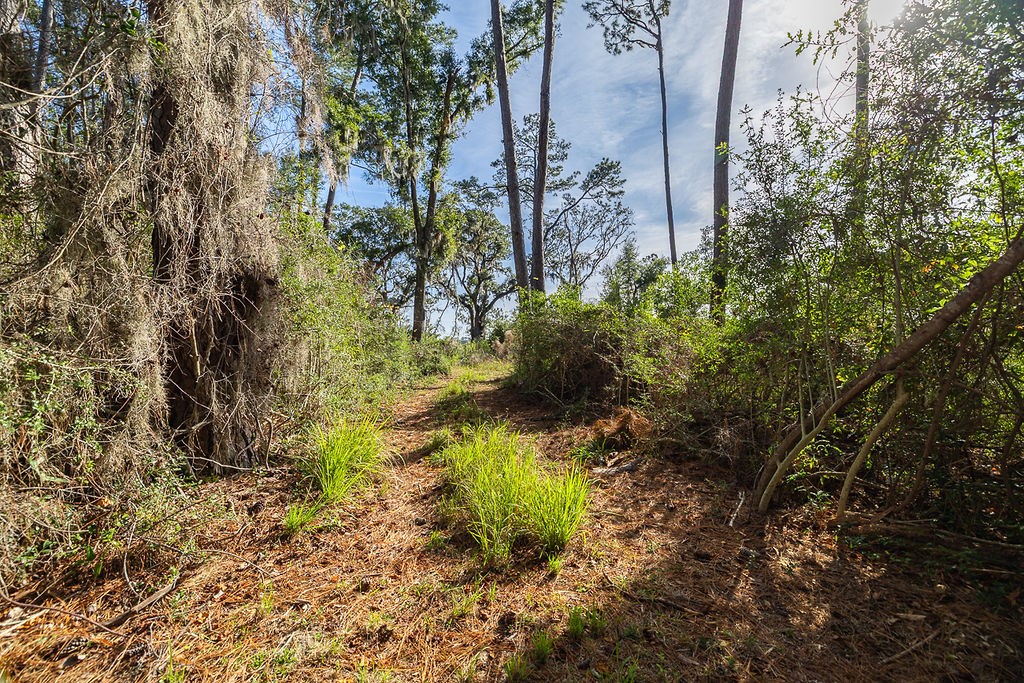 0 Oak Bluff Road Southeast Darien, GA 31305 - Photo 20 of 29