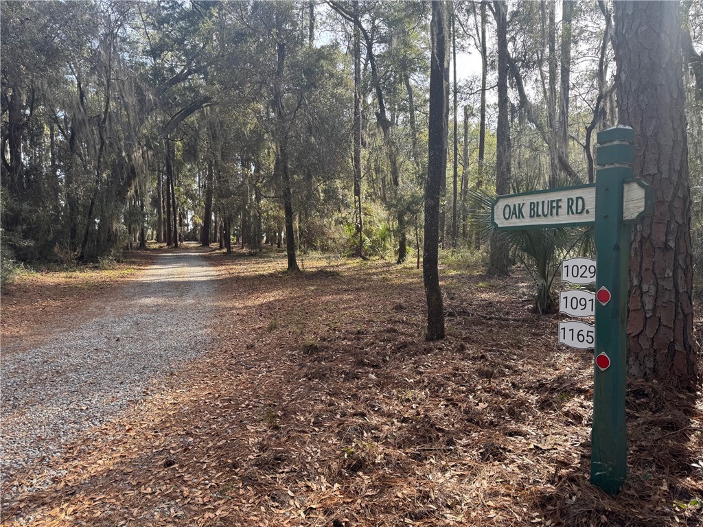 0 Oak Bluff Road Southeast Darien, GA 31305 - Photo 26 of 29
