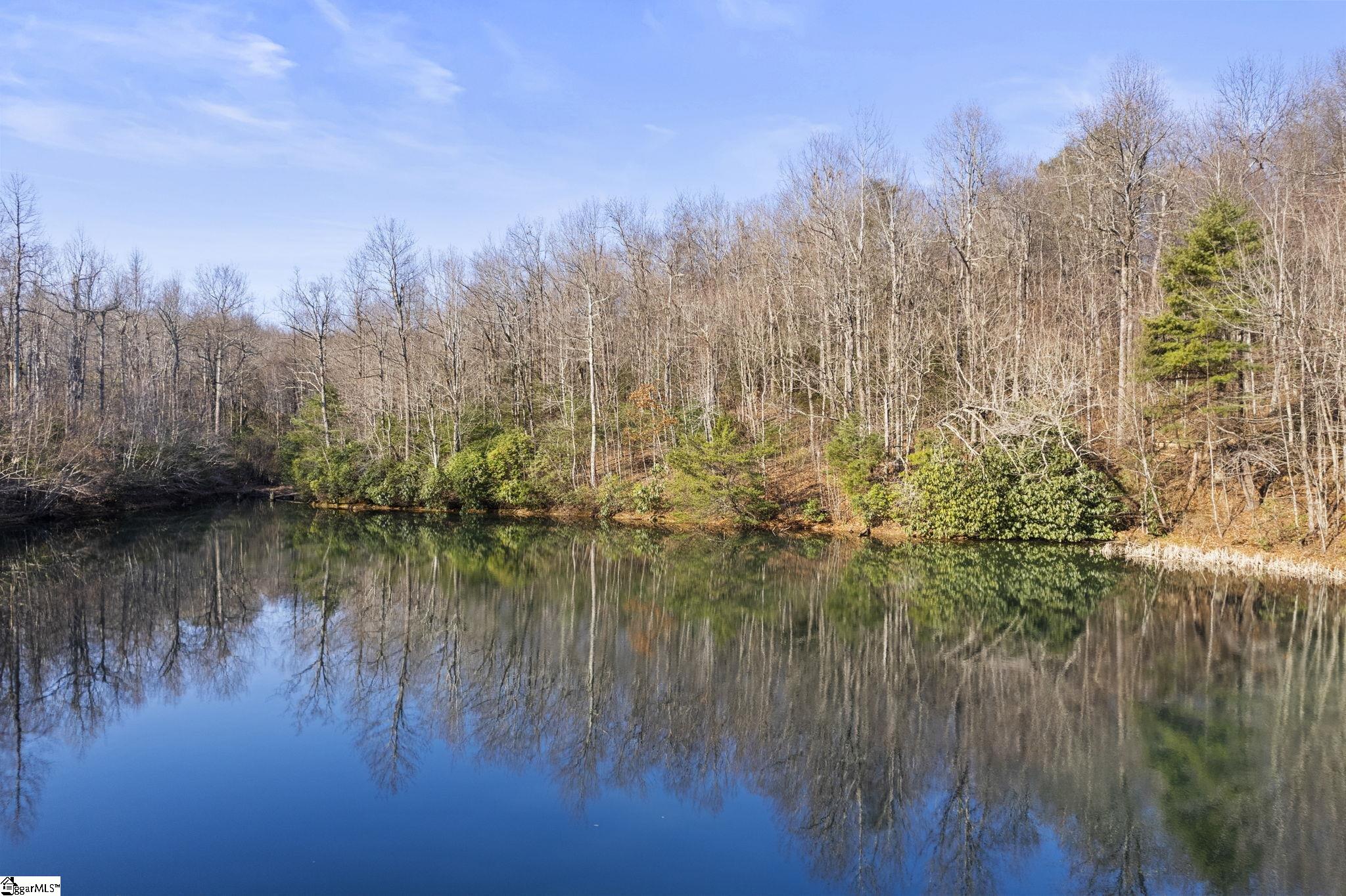 10 Rhetts Ridge Road Zirconia, NC 28790 - Photo 3 of 9