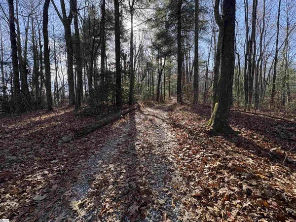 $115,000 | 10 Rhetts Ridge Road, Zirconia, NC 28790