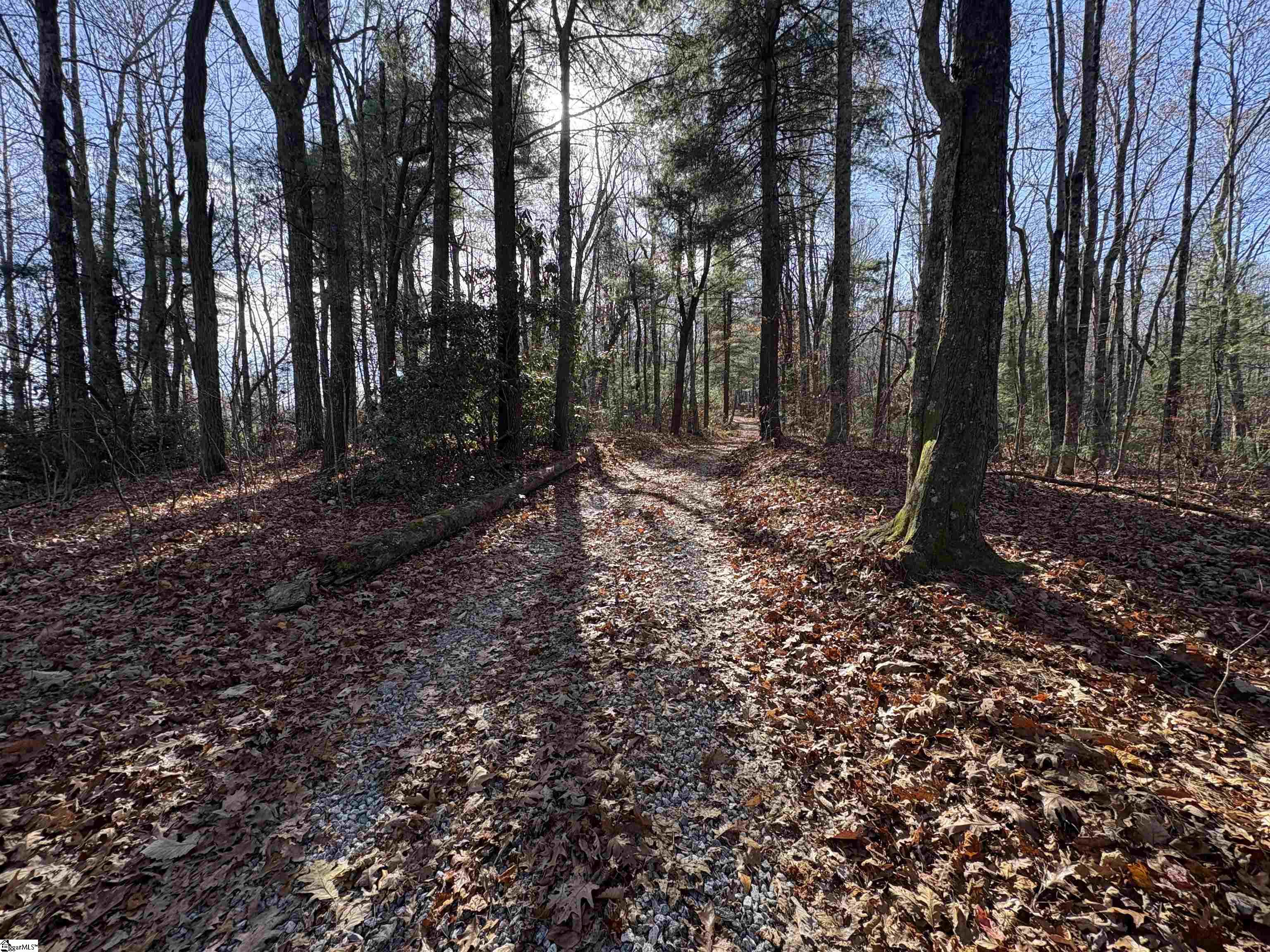 10 Rhetts Ridge Road Zirconia, NC 28790 - Photo 4 of 9