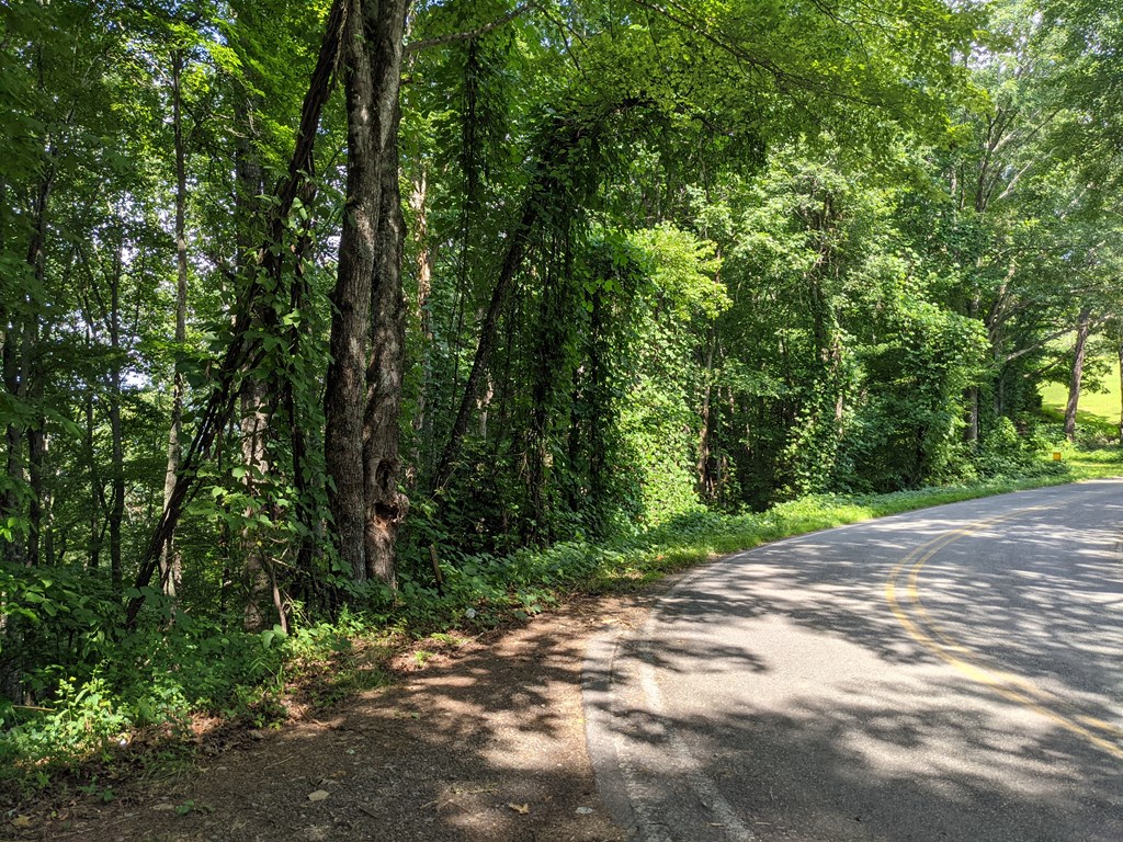0 Town Mountain Road Hayesville, NC 28904 - Photo 5 of 8
