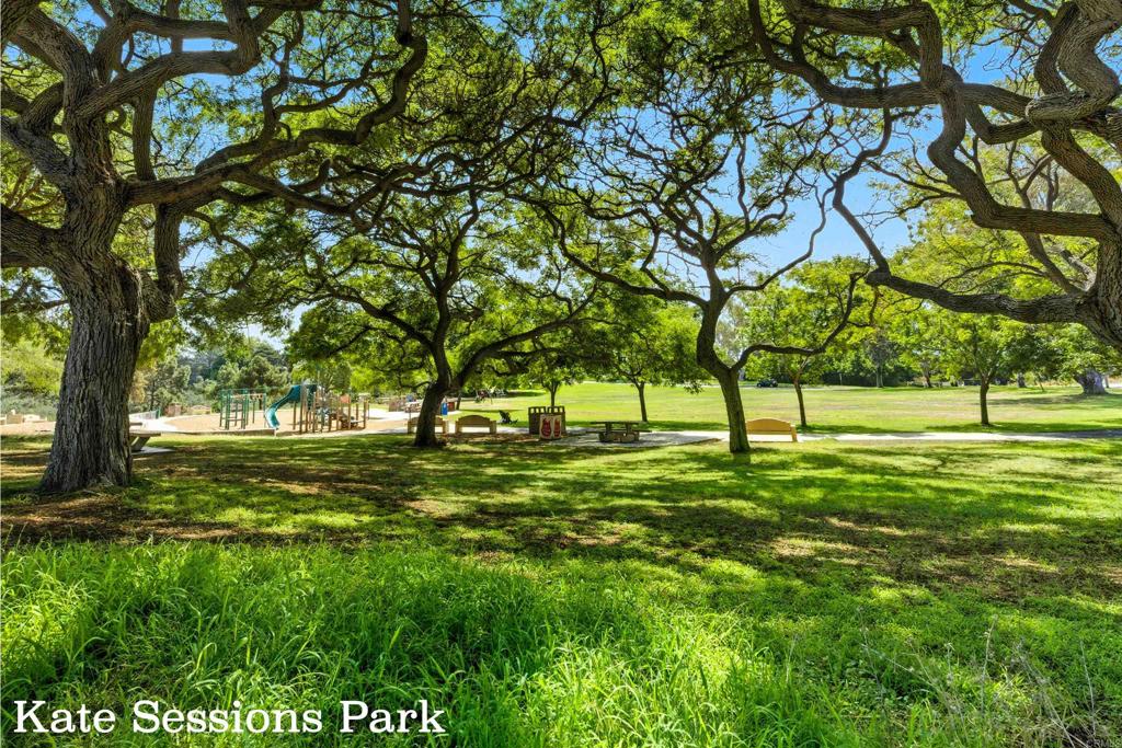1645 Los Altos Road San Diego, CA 92109 - Photo 19 of 19 a view of yard with trees
