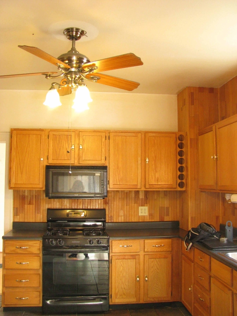187 Webster Road Roanoke, VA 24012 - Photo 7 of 18 Kitchen Stove & Microwave, 9' ceilings