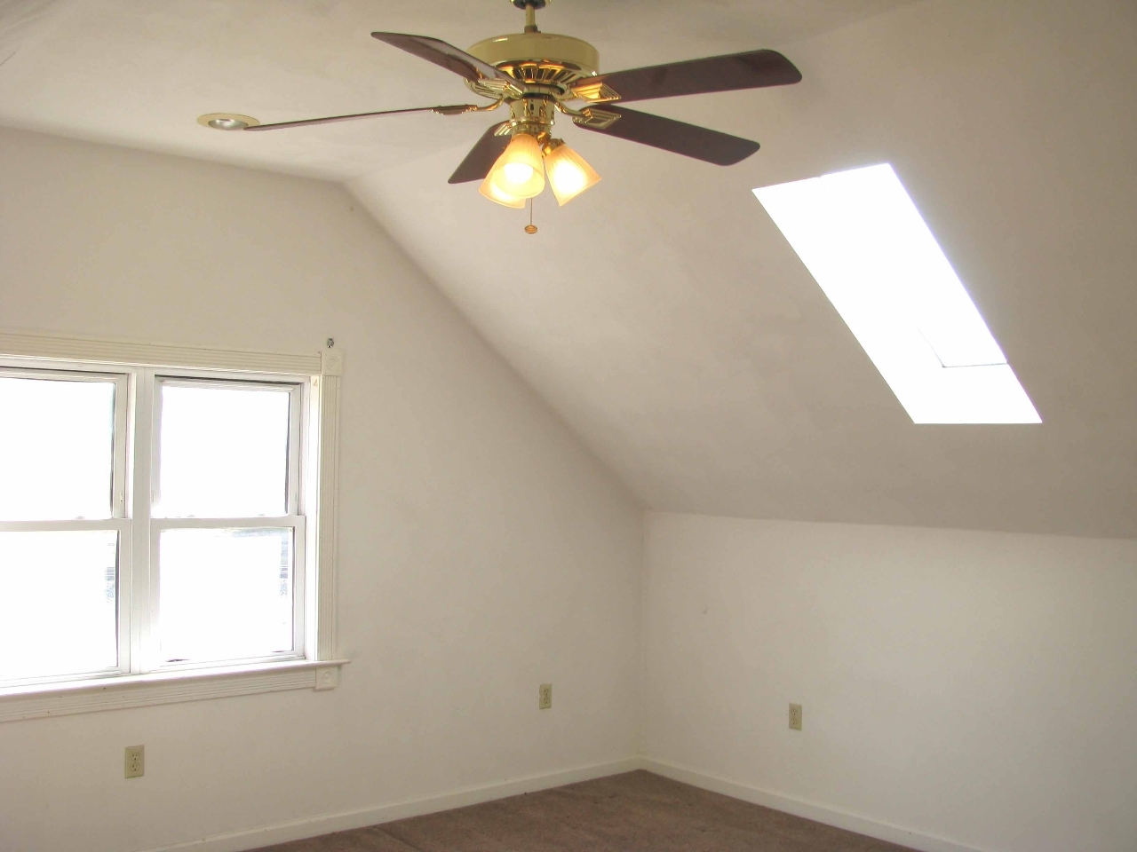 187 Webster Road Roanoke, VA 24012 - Photo 9 of 18 Upper master suite 3 skylights