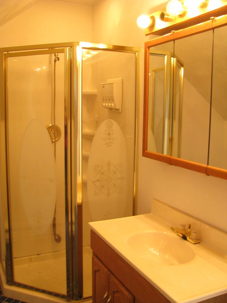 187 Webster Road Roanoke, VA 24012 - Photo 10 of 18 Master Upper Bath