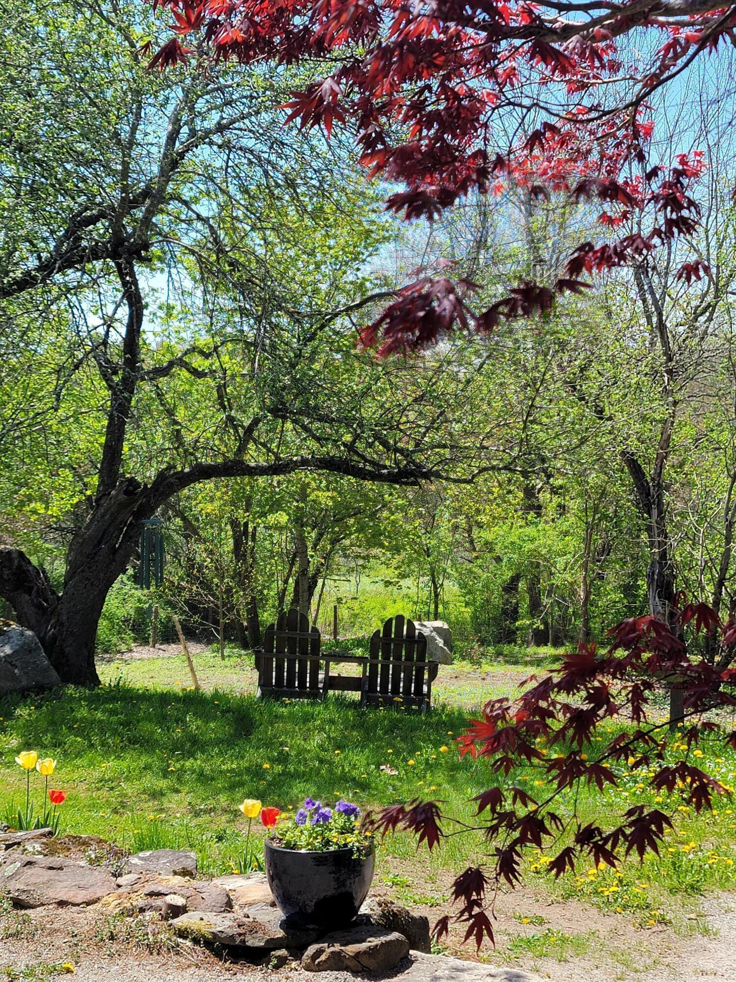 234 Western Road Warren, ME 04864 - Photo 71 of 75 20240517_124127