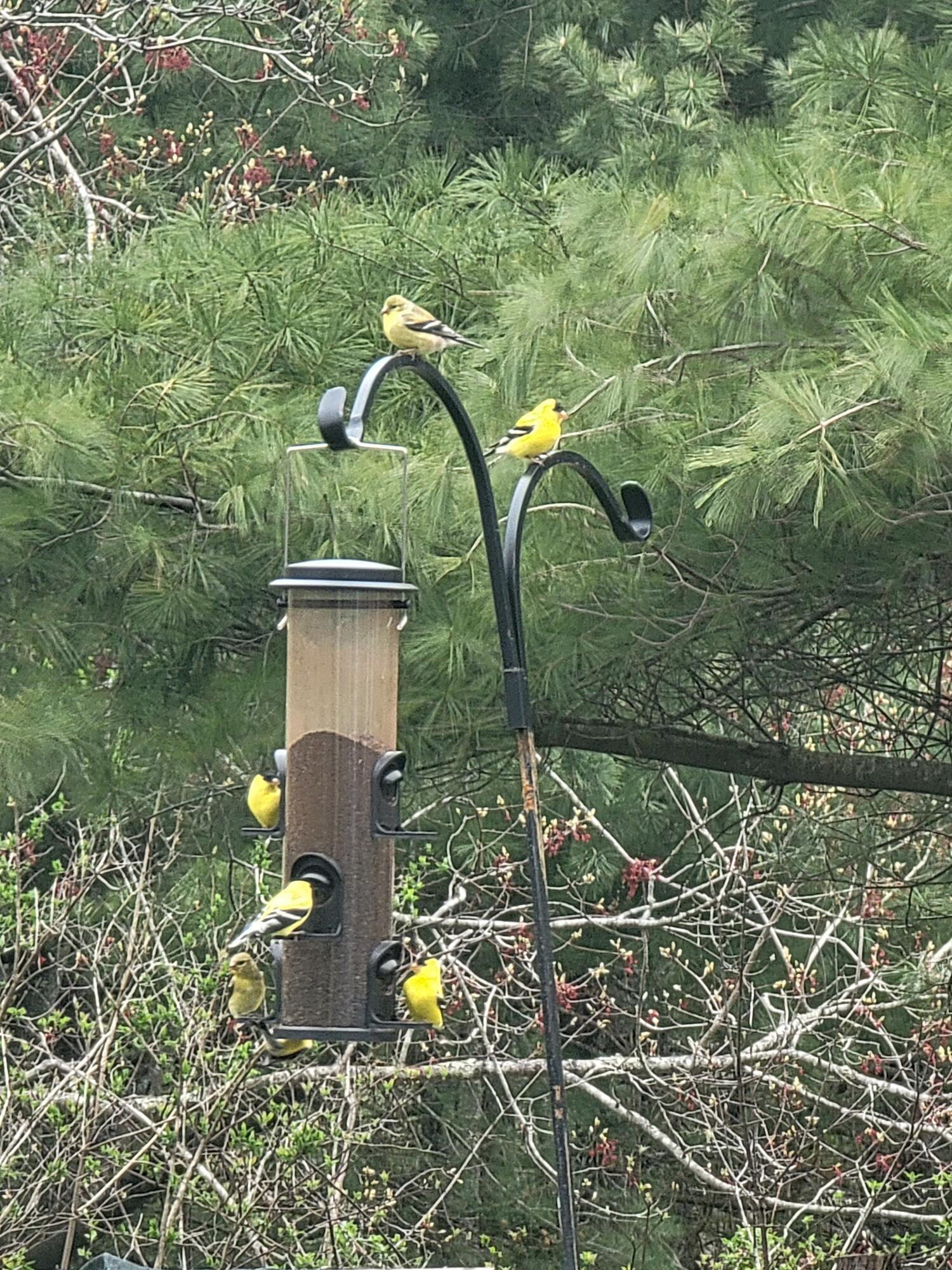 234 Western Road Warren, ME 04864 - Photo 72 of 75 1000001718