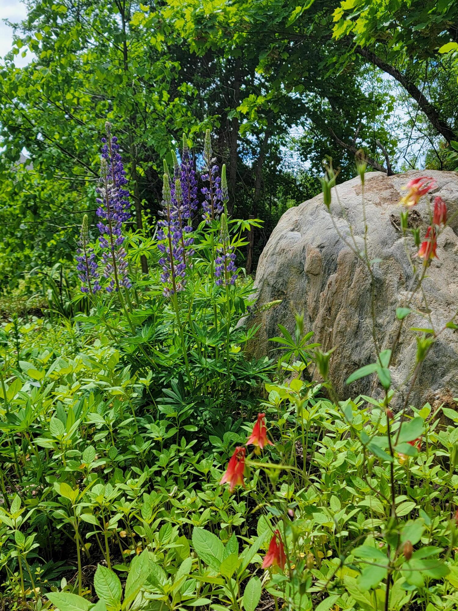 234 Western Road Warren, ME 04864 - Photo 74 of 75 1000001865