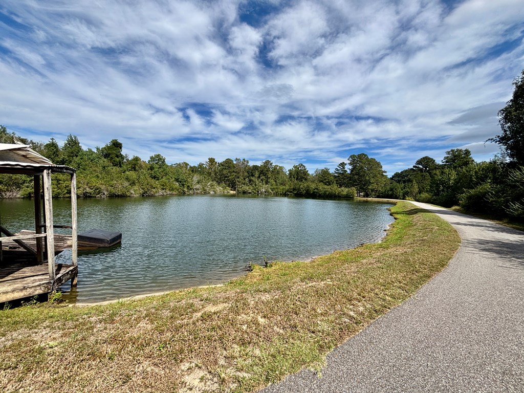 142 Gammage Road Eufaula, AL 36027 - Photo 39 of 47 a view of a lake with a building in the background