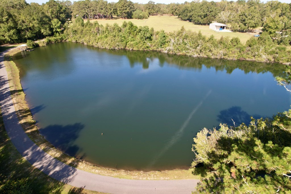 142 Gammage Road Eufaula, AL 36027 - Photo 44 of 47 a view of a lake with a mountain view