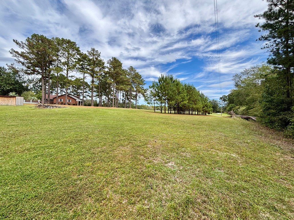 142 Gammage Road Eufaula, AL 36027 - Photo 5 of 47 a view of a green field with lots of bushes