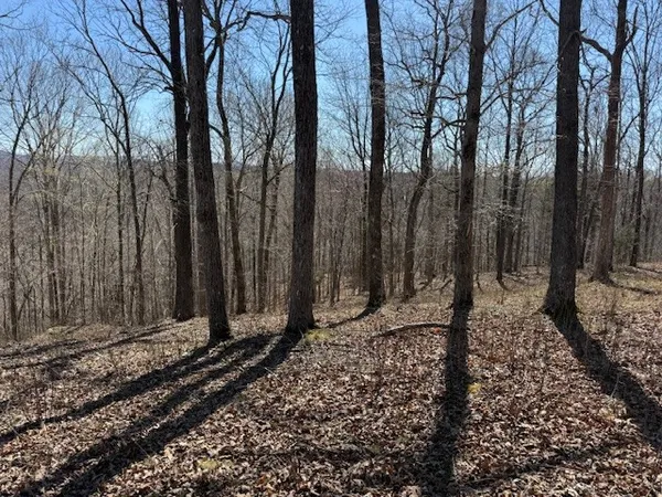 a view of a backyard of the house