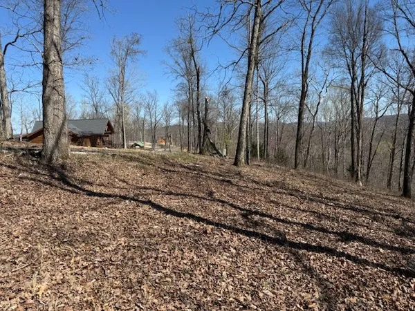 a view of a backyard of the house
