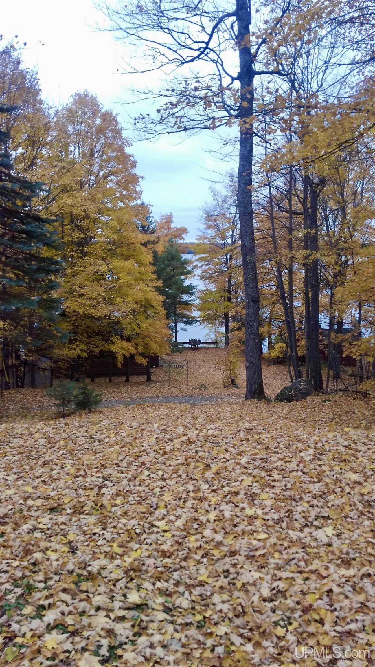 90 Green Road Michigamme, MI 49861 - Photo 23 of 39